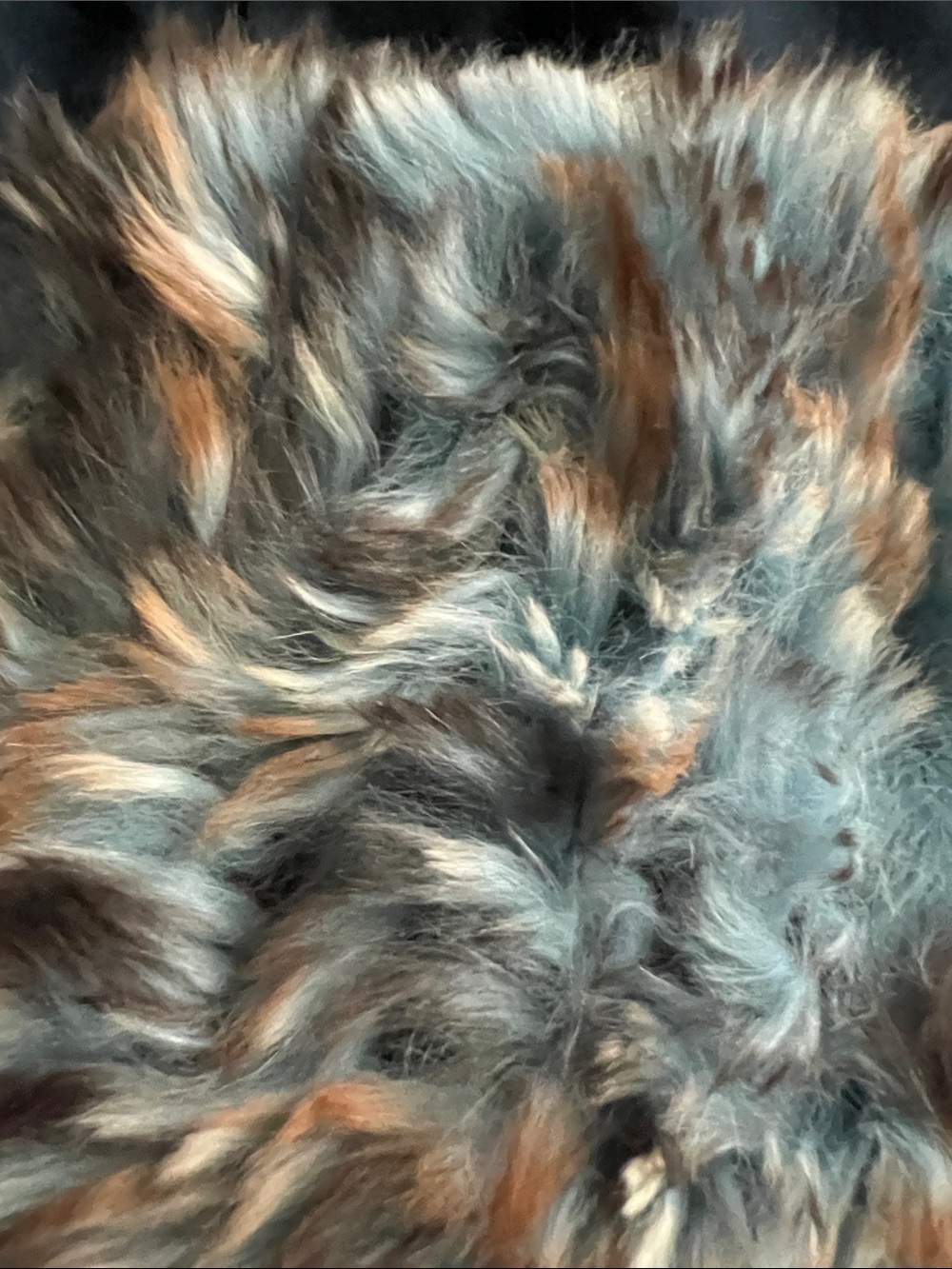 Fur headband - Picture 2 of 2